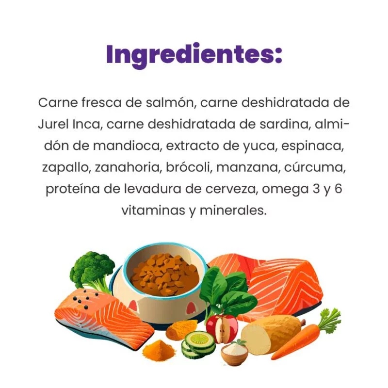 INGREDIENTES-SALMON