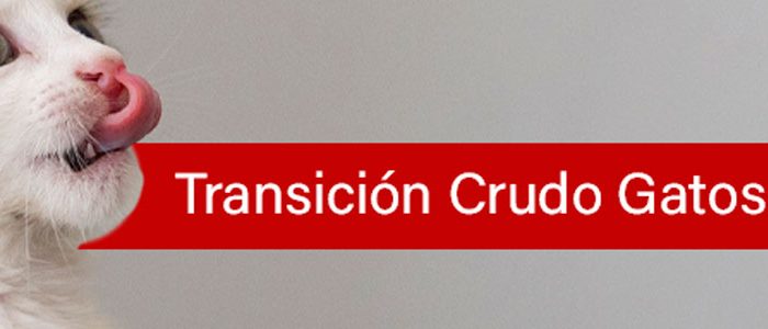Transicion-Crudo-(B.A.R.F.)-Gatos