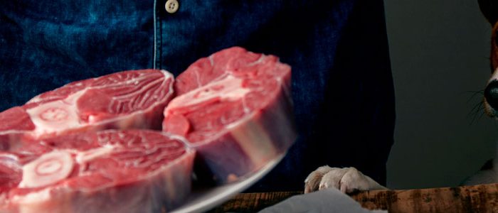 Transicion-Crudo-Barfood-en-Perros