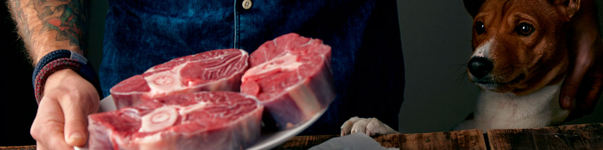 Transicion-Crudo-Barfood-en-Perros