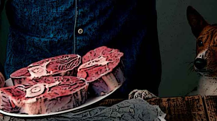 transicion-crudo-barfood-en-perros-1