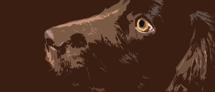 El-perro