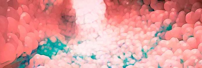sindrome-del-Intestino-permeable