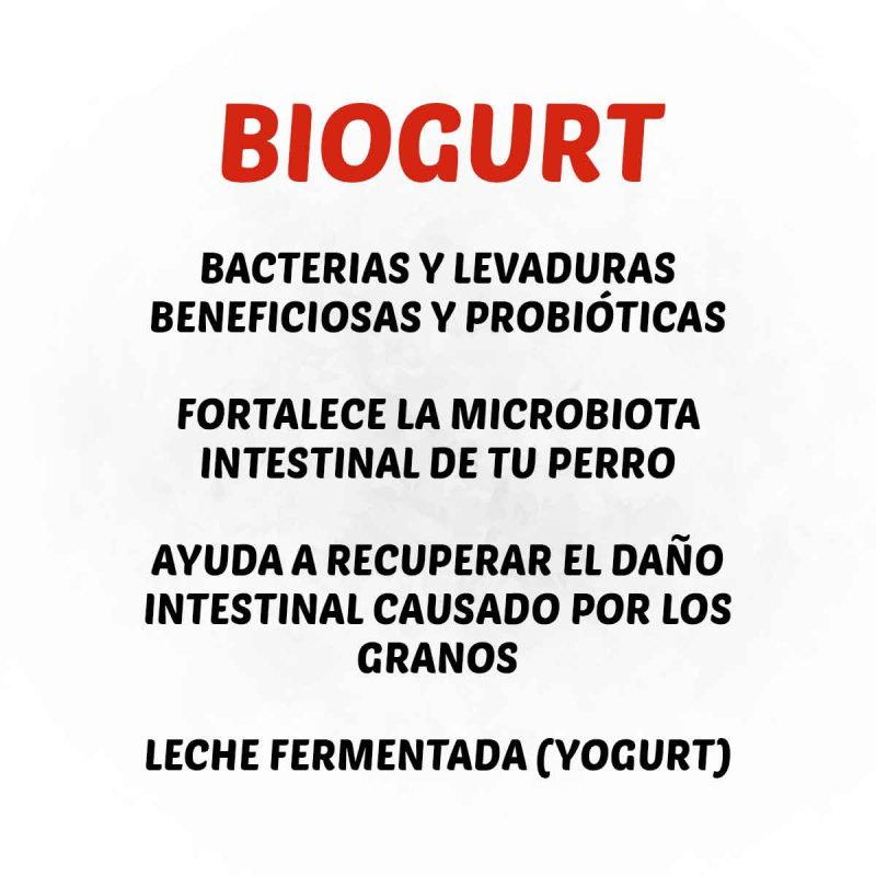 Biogurt-descripcion