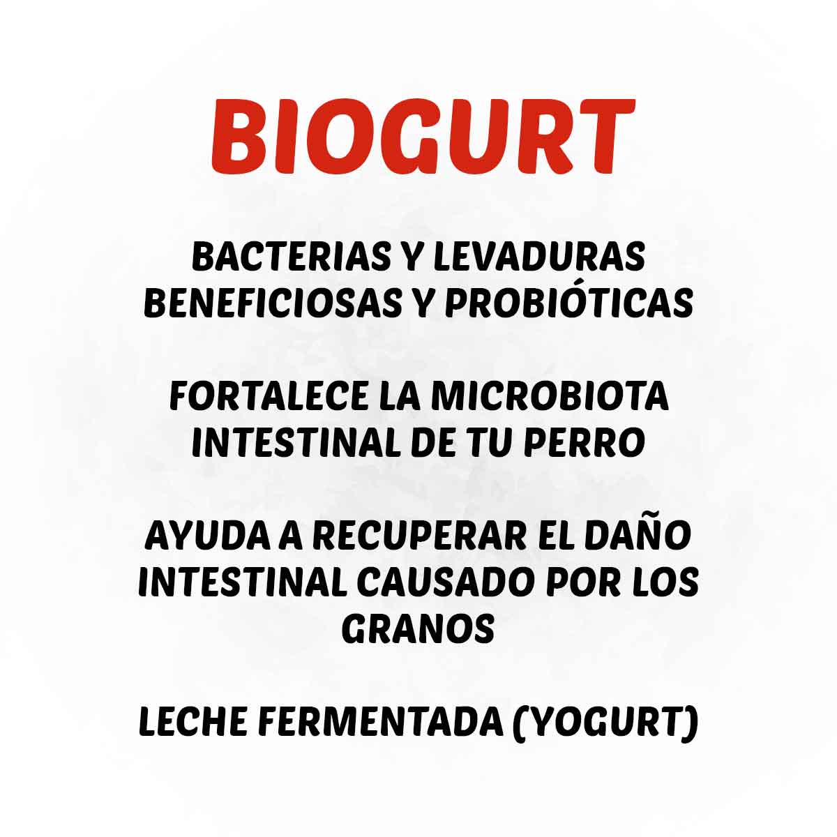 Biogurt-descripcion
