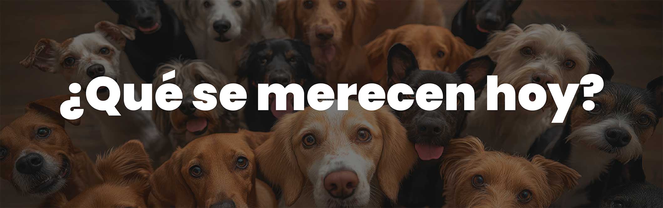 HO-banner-que-se-merecen-hoy