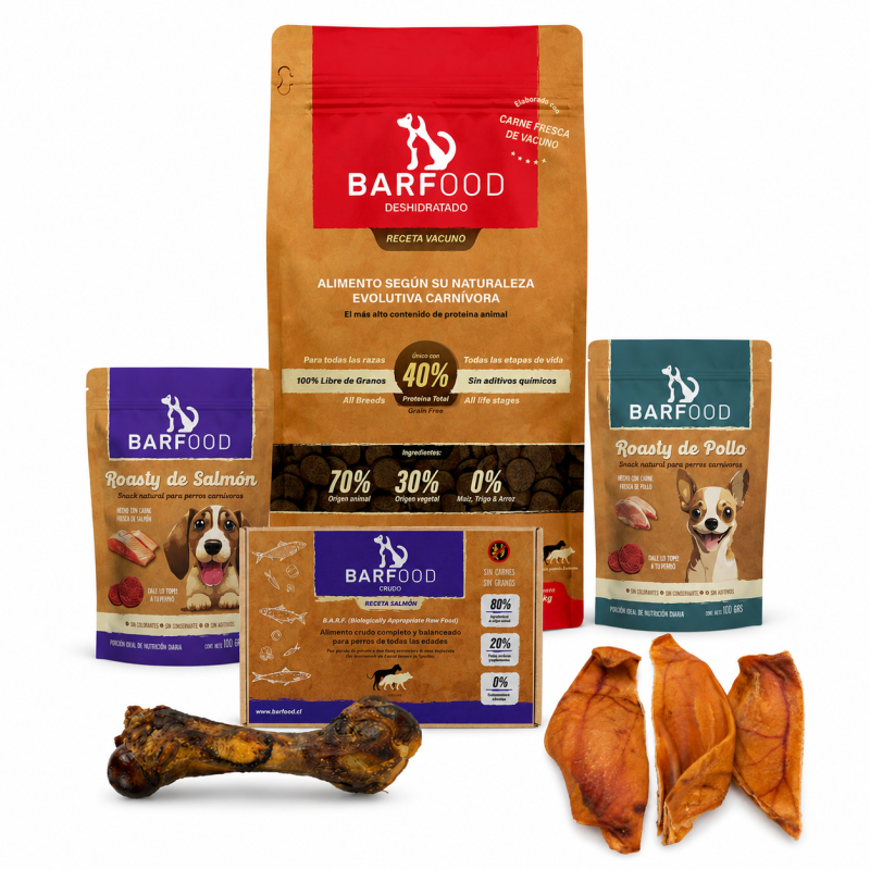Pack Ancestral Barfood-2