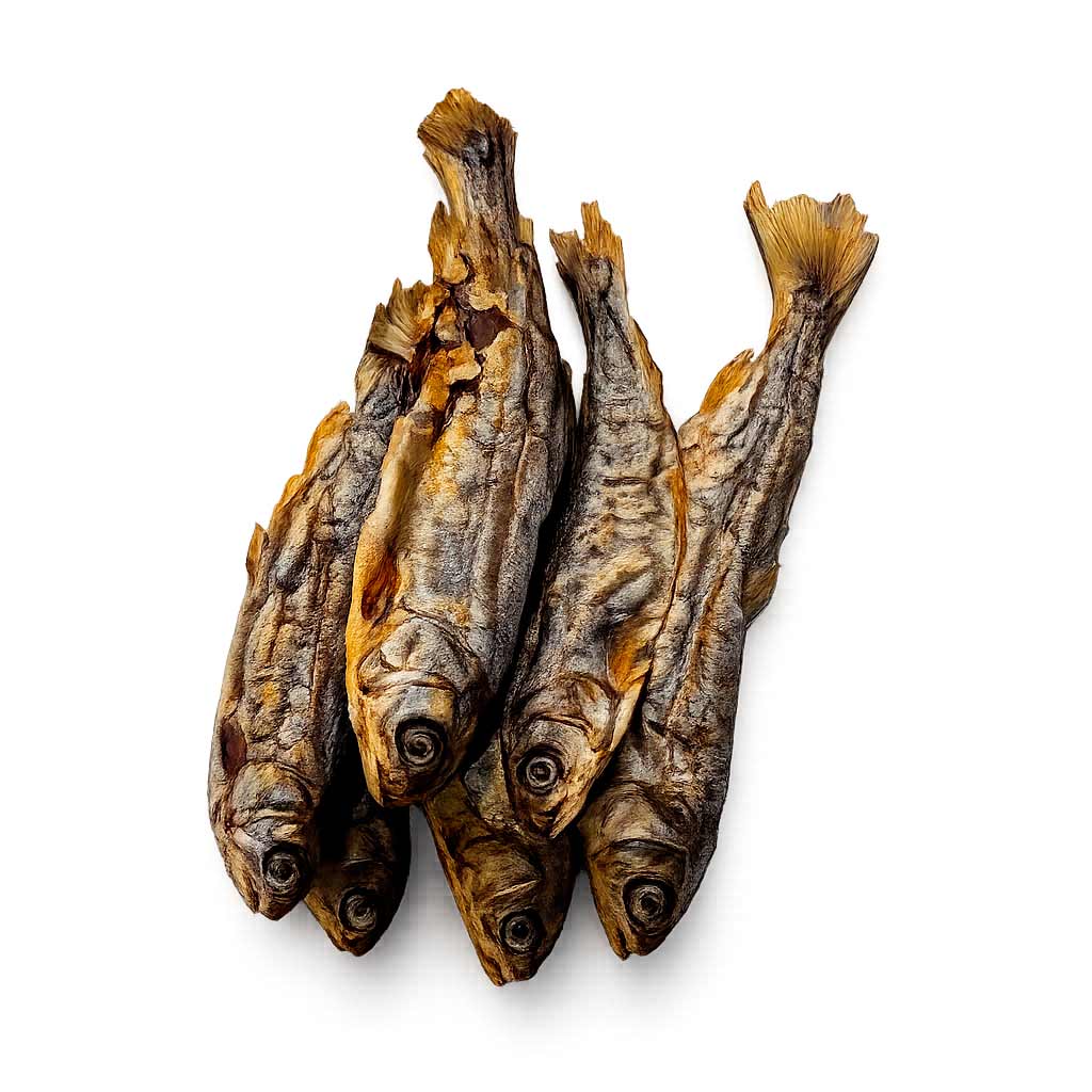 Baby-salmon-galeria