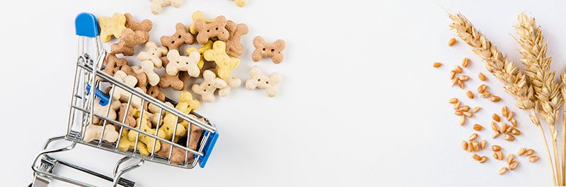 Carbohidratos-en-perros